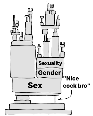 A tower of blocks is shown. The upper half consists of many tiny blocks balanced on top of one another to form smaller towers. The blocks rest on larger blocks lower down in the image labeled "Sexuality" and "Gender, finally on a single large block labeled "Sex". This is balanced on top of a set of blocks on the left, and on the right, a single tiny block placed on its side. This one is labeled "Nice cock bro"