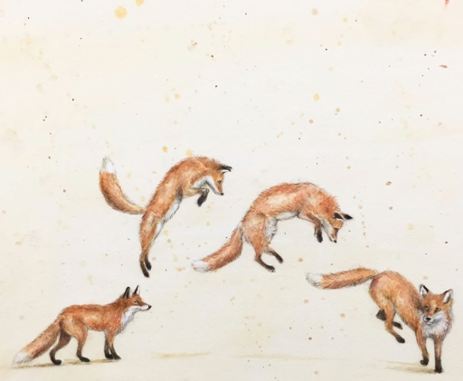 drawing of foxes leaping