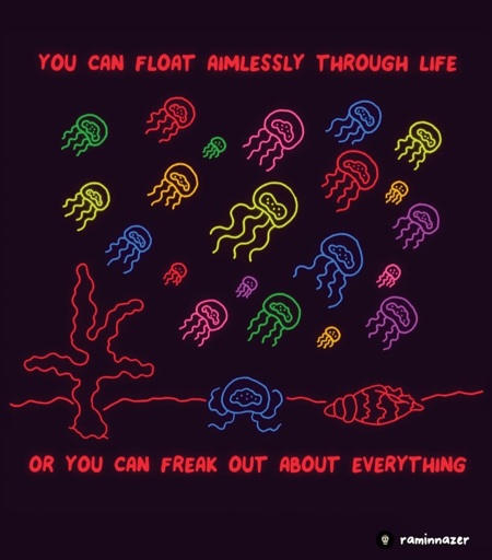you can float aimlessly through life or you can freak out about everything
