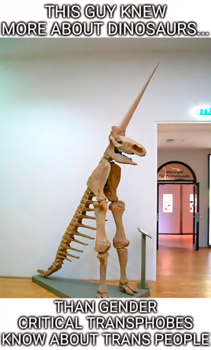 A photo of a deranged amalgamation of fossils from many different animals, made to resemble a bipedal unicorn with an enormous tail. Text: This guy knew more about dinosaurs.... Than gender critical transphobes know about trans people