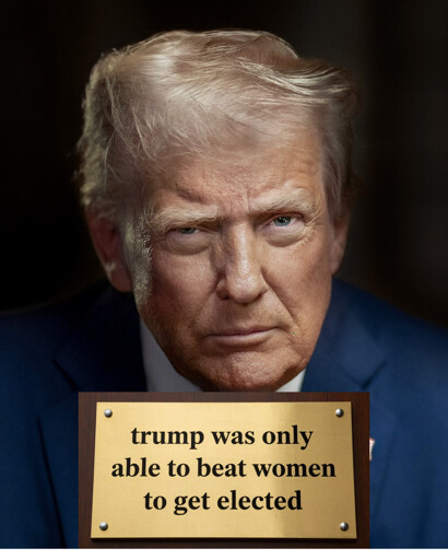 trump's official portrait with a plaque stating
"trump was only able to beat women to get elected"