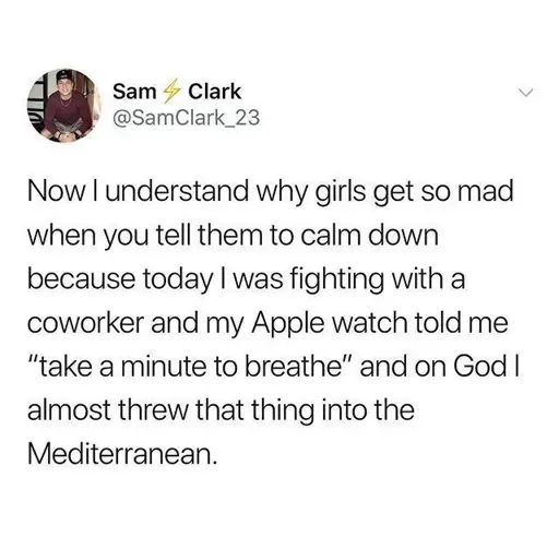 Now I understand why girls get so mad when you tell them to calm down because today I was fighting with a coworker and my Apple watch told me “take a minute to breathe” and on God I almost threw that thing into the Mediterranean.
