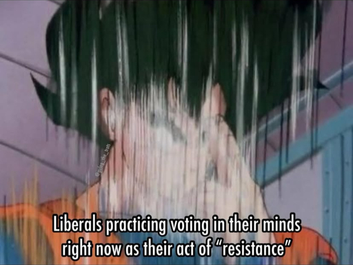 Goku from Dragon Ball Z training for combat. Caption: Liberals practicing voting in their minds right now as their act of "resistance" 