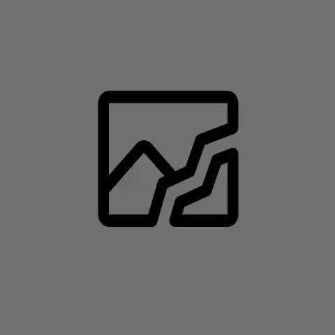 the broken image symbol used by lemmy.