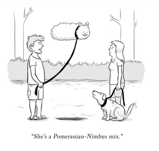 Cuteness and clever