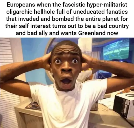 Picture of a very suprised-looking person holsing their head, with the following caption: Europeans when the faacistic hyper-militarist oligarchic hellhole full of uneducated fanatics that invaded and bombed the entire planet for their self interest turns out to be a bad country and a bad ally and wants Greenland now.